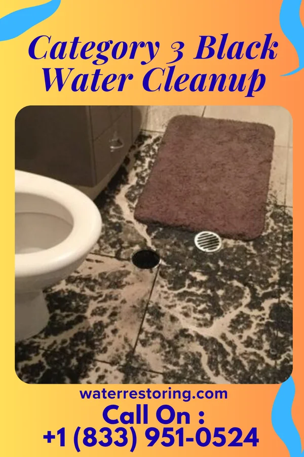 Category 3 Black Water Cleanup in Fredericksburg, IA