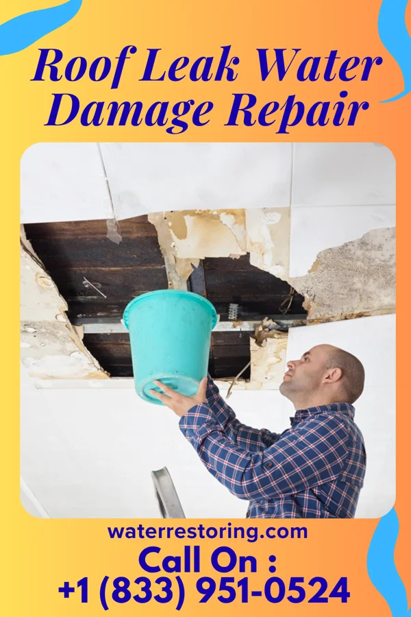 Roof Leak Water Damage Repair in Fredericksburg, IA